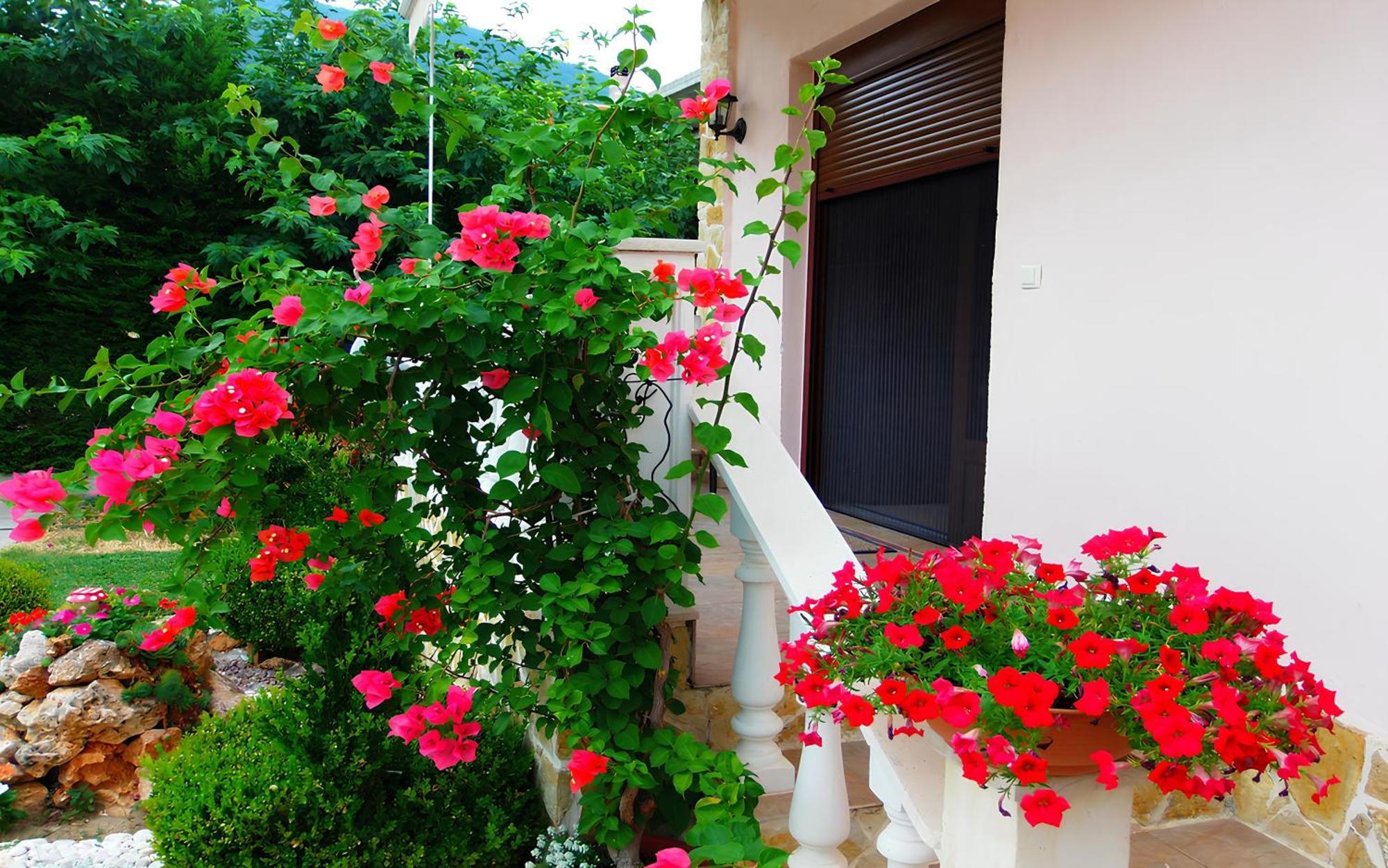 Relax Pozar Hotel Loutraki  Exterior photo